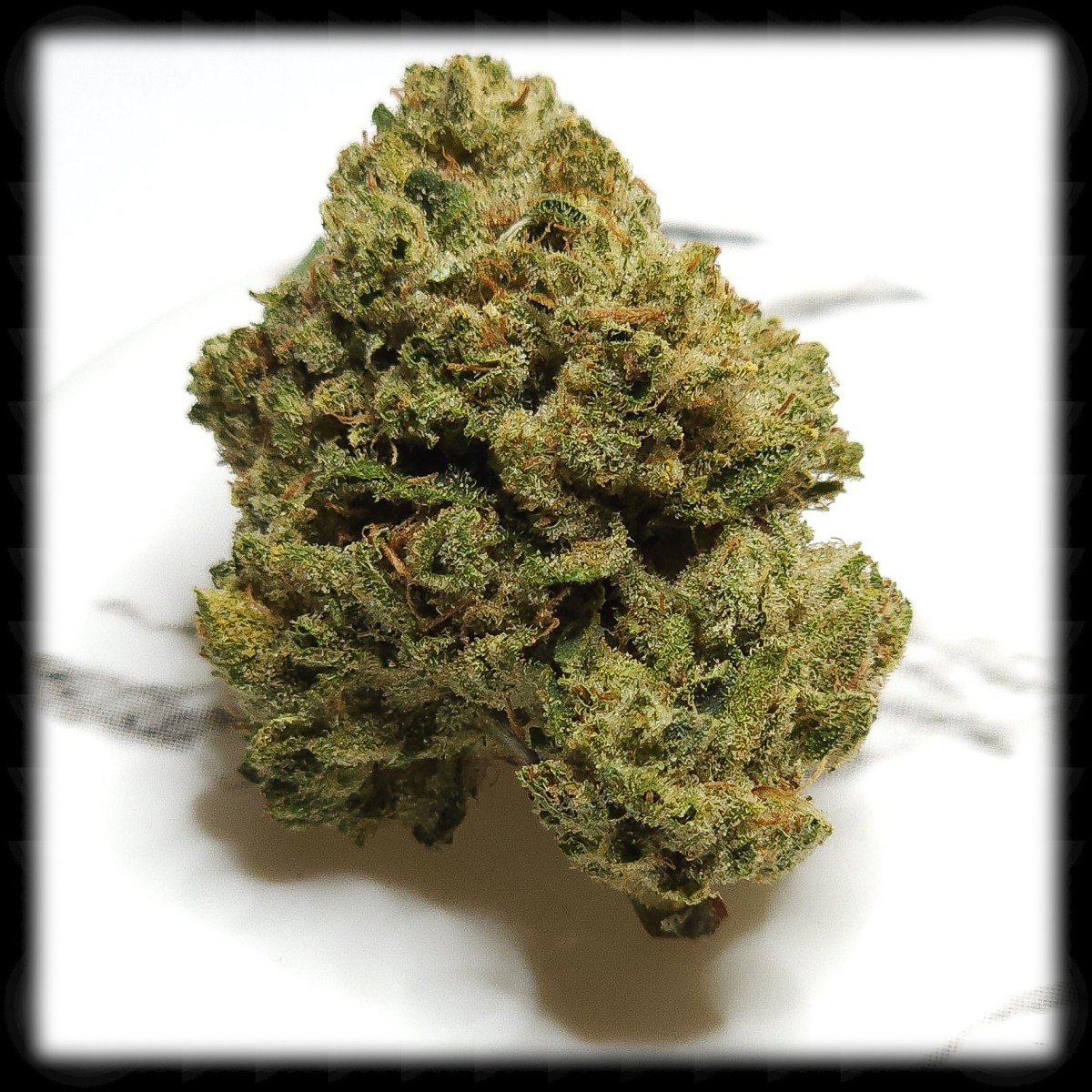 Triangle Kush by Calendar&nbsp;Islands