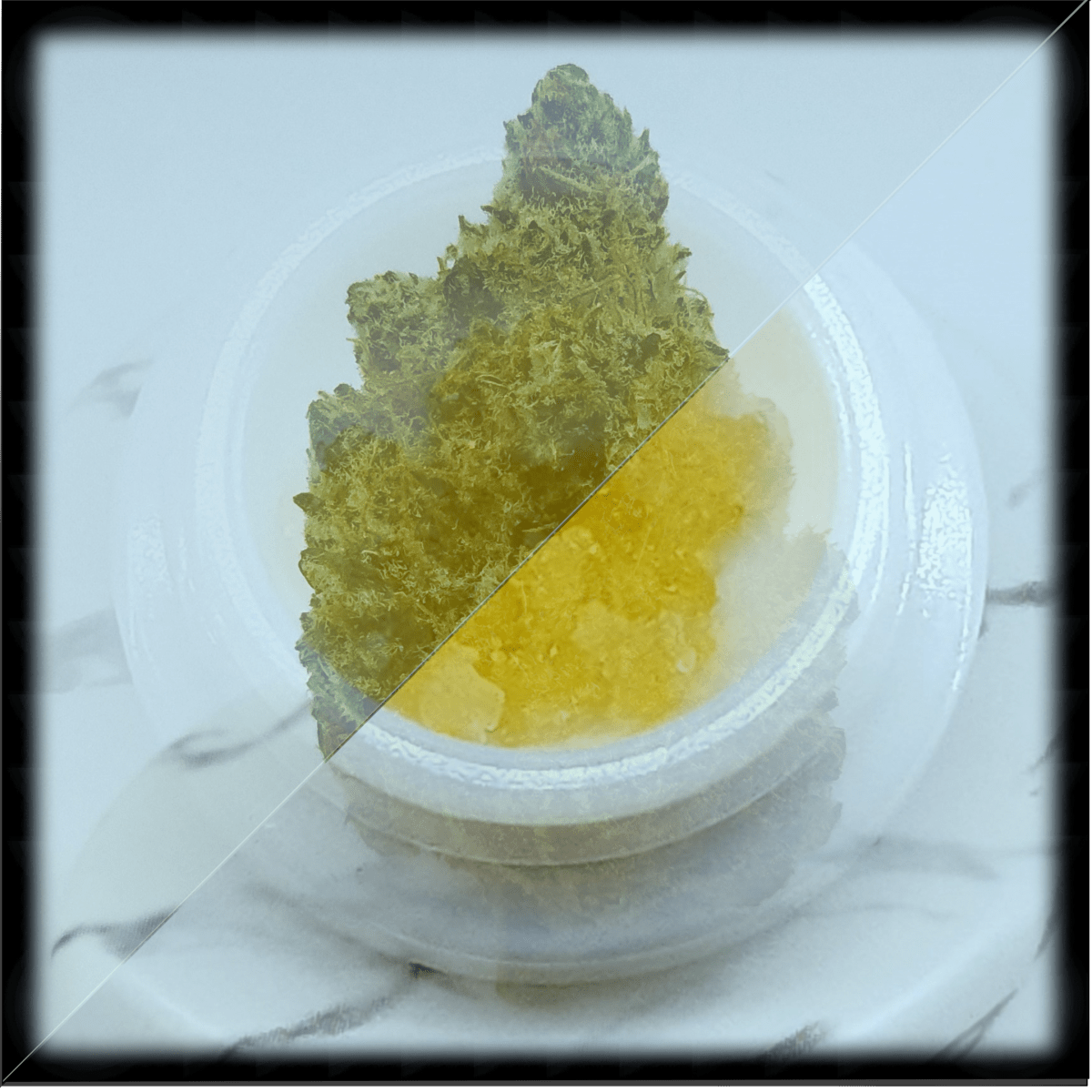 Roseberry Kush by Grass&nbsp;Roots