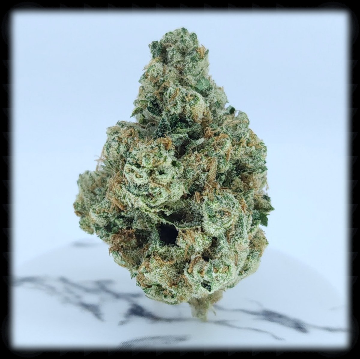 Khalifa Kush, Dreamer Cannabis, and the Joy of&nbsp;Contrast