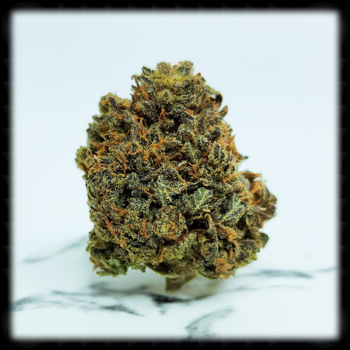 420 All Month: Acapulco&nbsp;Gold