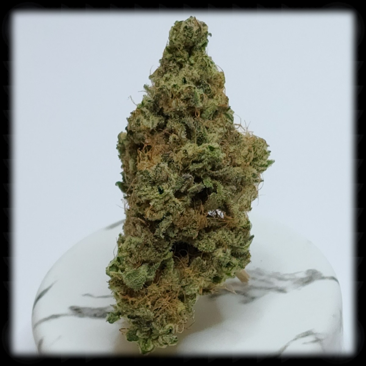 Albariño by Firefly&nbsp;Organics