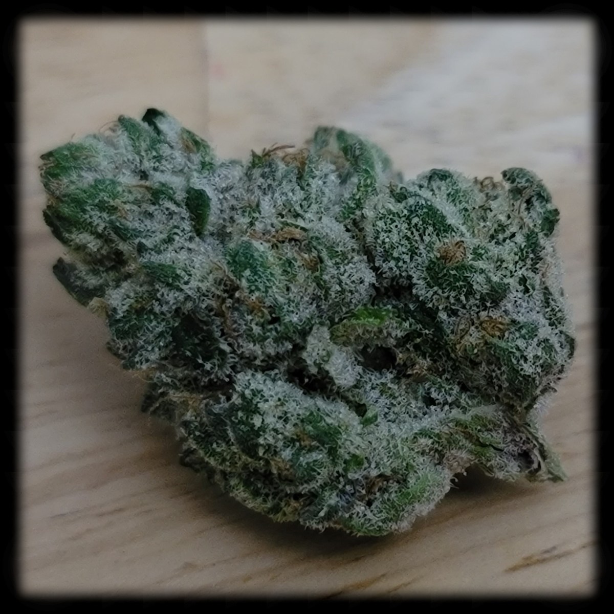 Blue Widow by Divine&nbsp;Buds