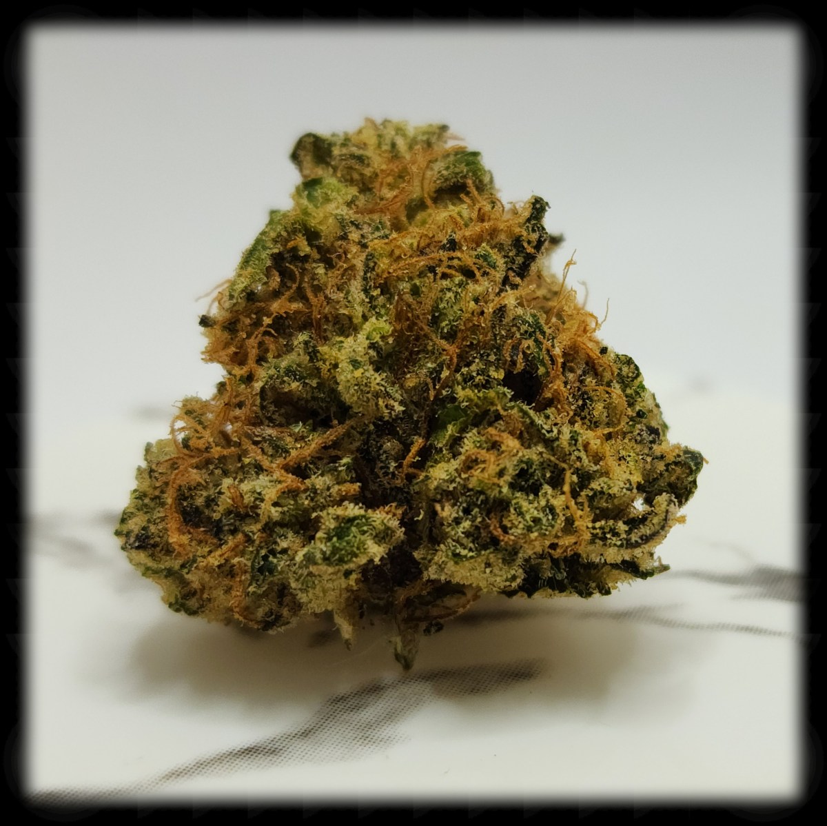 420 All Month: Garlic&nbsp;Grove