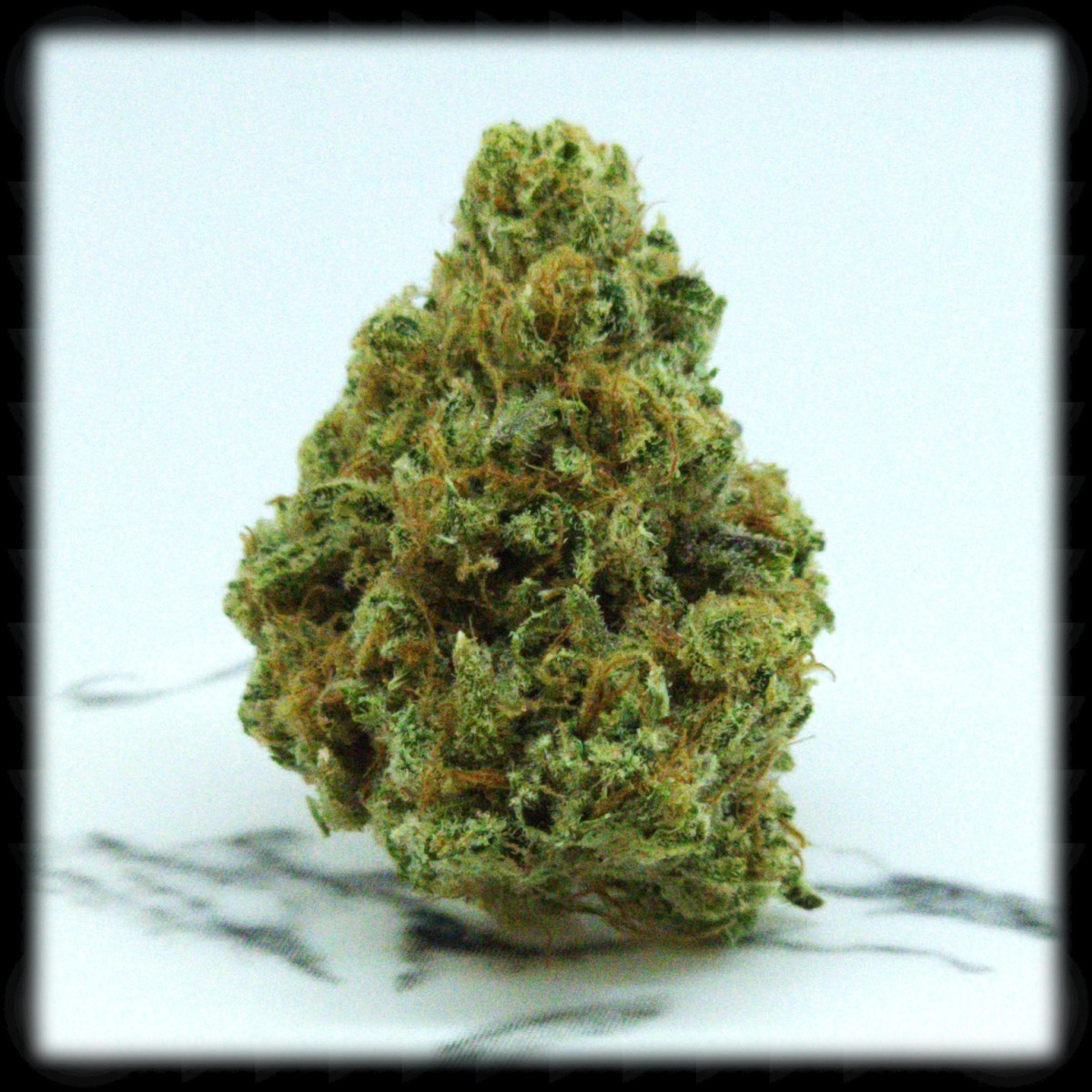 420 All Month: Goji&nbsp;OG