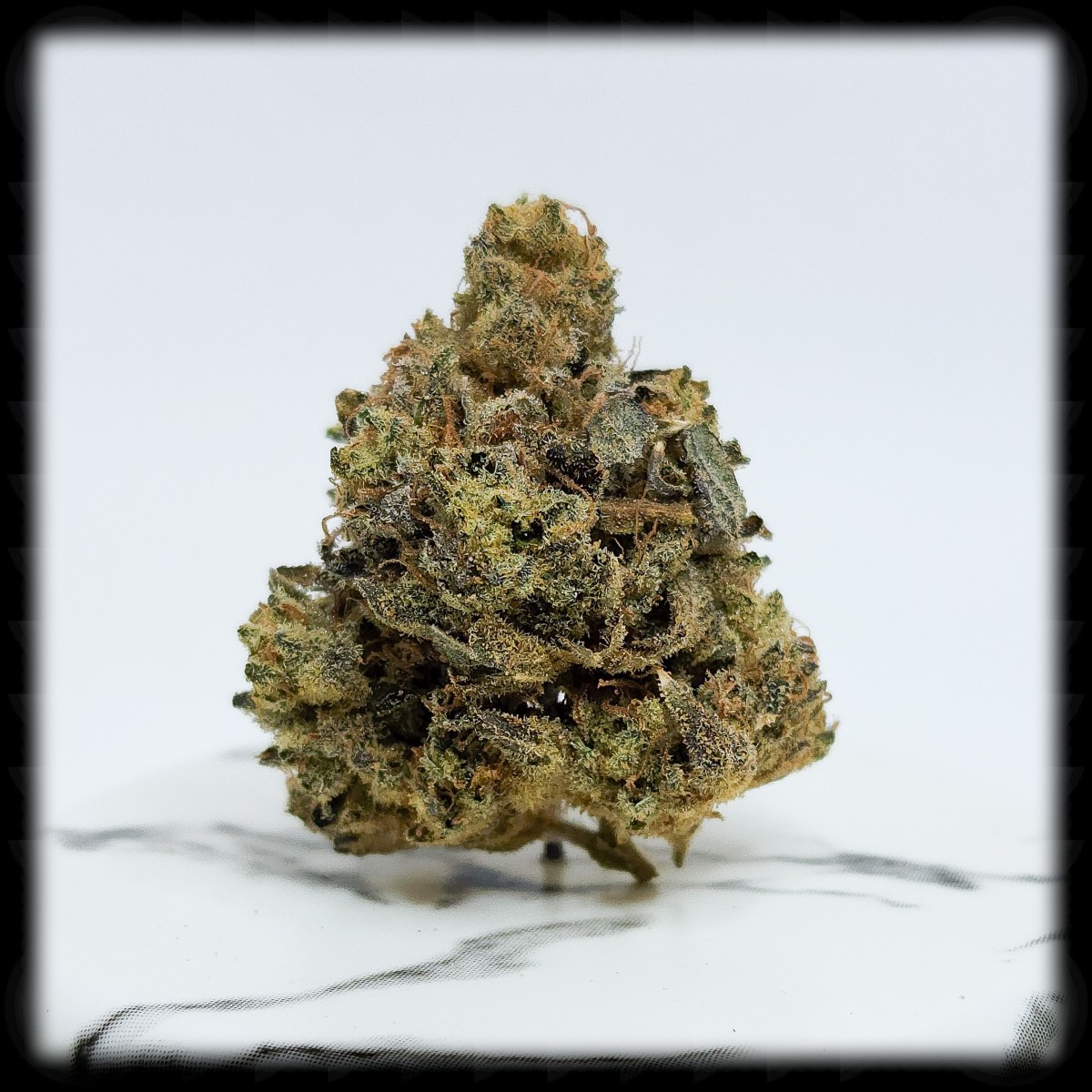 420 All Month: Headbanger, and Happy&nbsp;420!