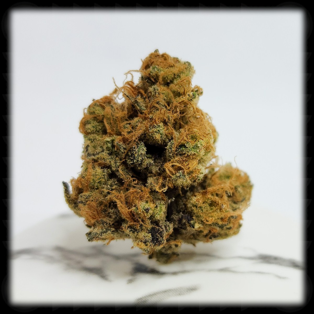 420 All Month: Motor&nbsp;Breath