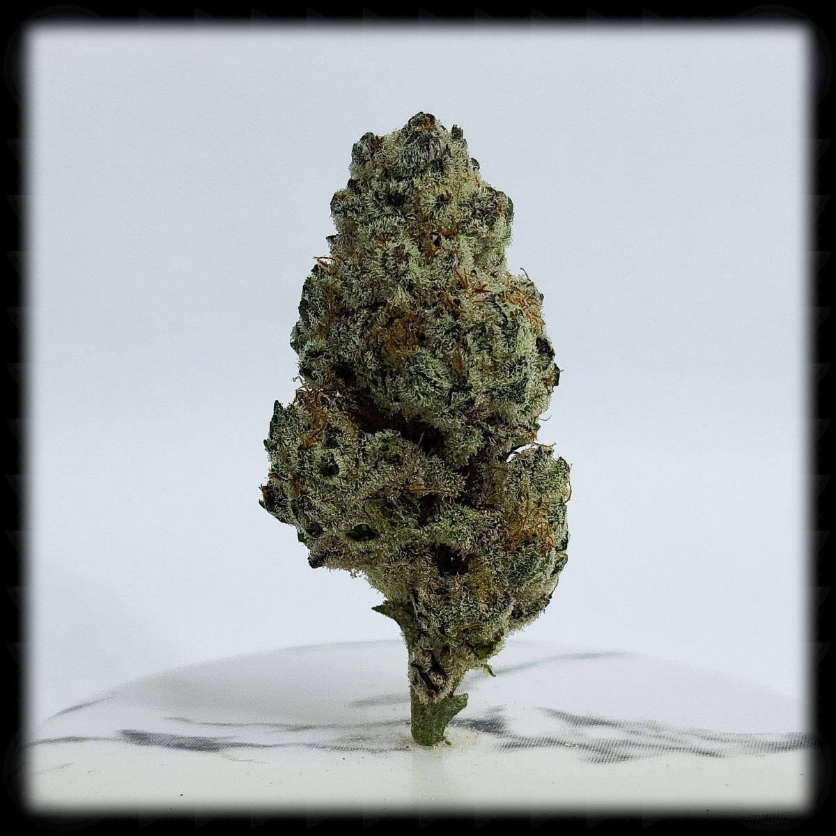 420 All Month:&nbsp;Oreoz