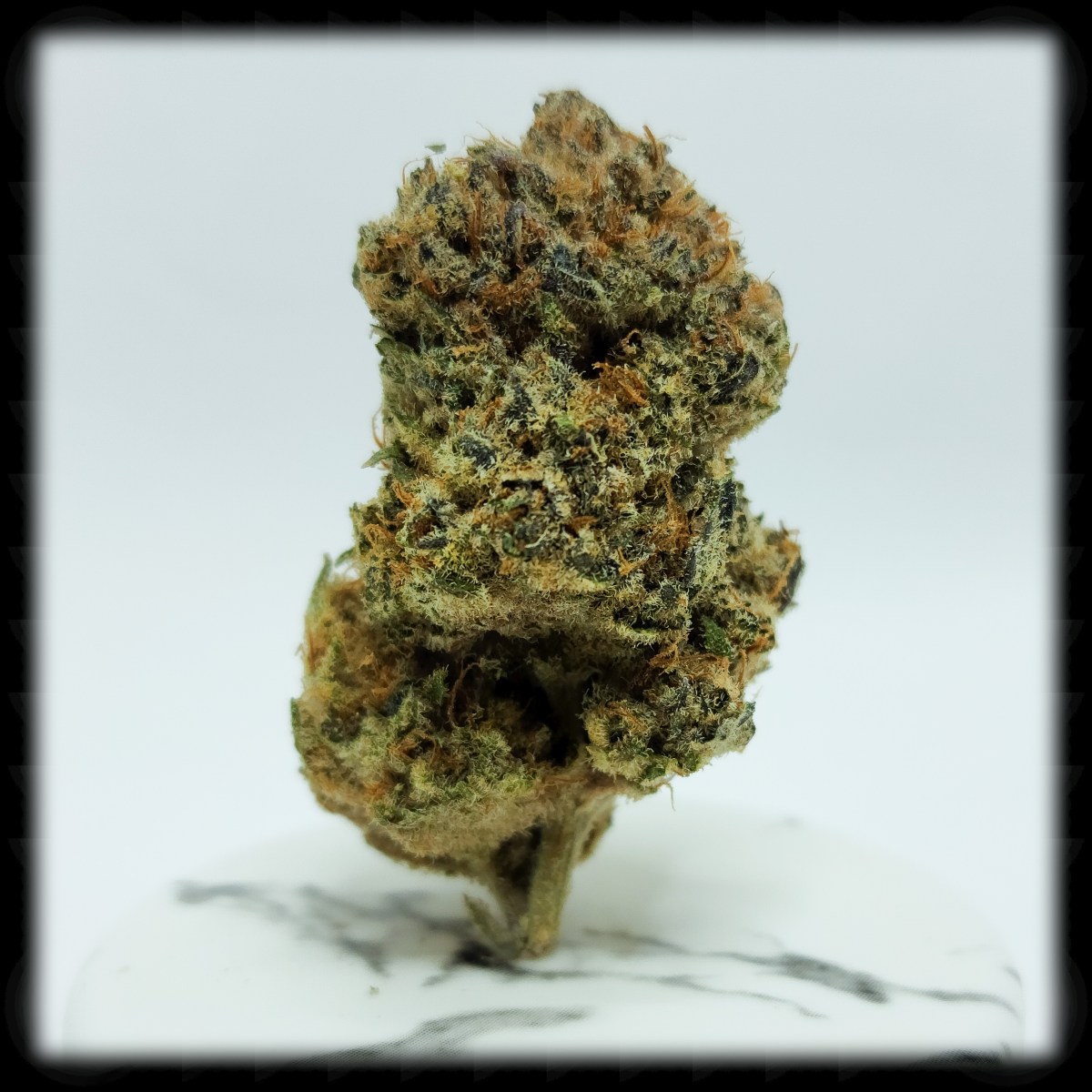 420 All Month: Pure&nbsp;Kush