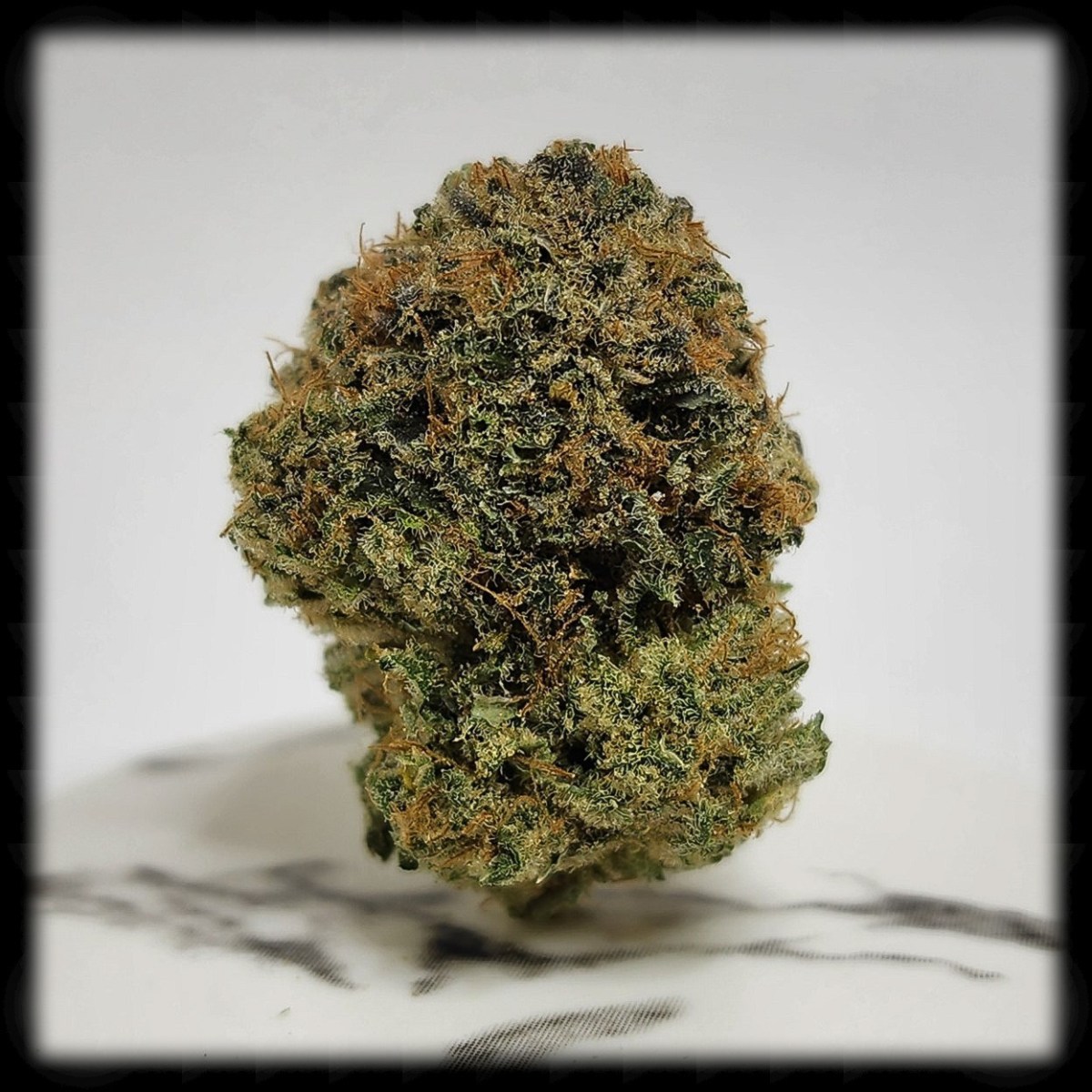 420 All Month: Purple Diesel x&nbsp;Cookies