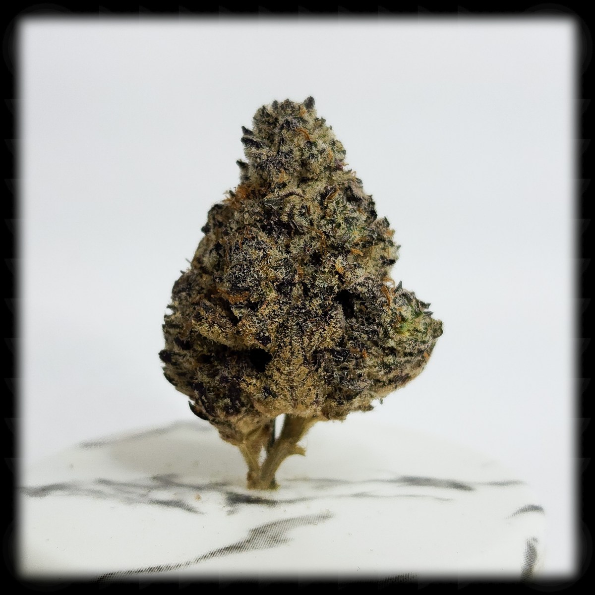 420 All Month: White&nbsp;Truffles