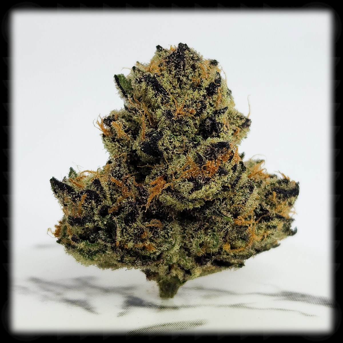 Purple Milk, Caryophyllene and CBN, and Regulating vs.&nbsp;Affecting