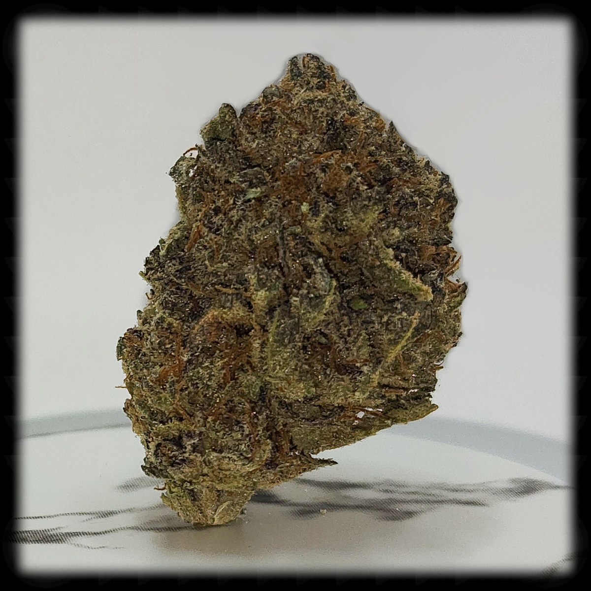 Black Widow, and an Update to Last Week’s&nbsp;Post