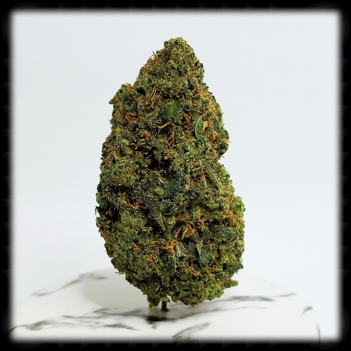 Jack Herer, and Jack&nbsp;Herer