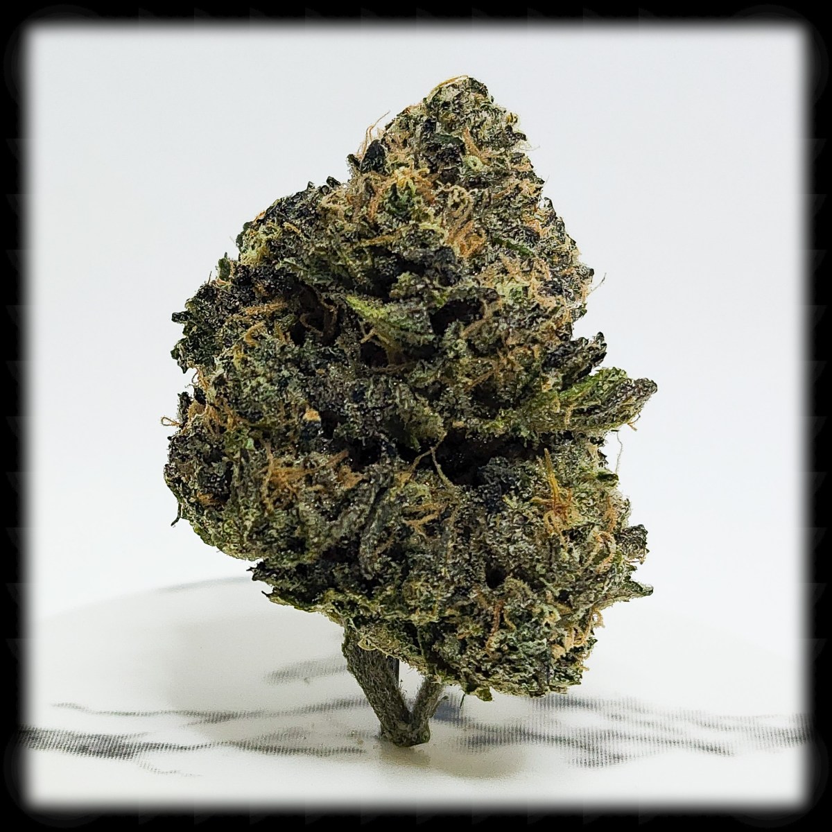 Obama Runtz, and the Difference between Medical and Recreational Cannabis in&nbsp;Maine