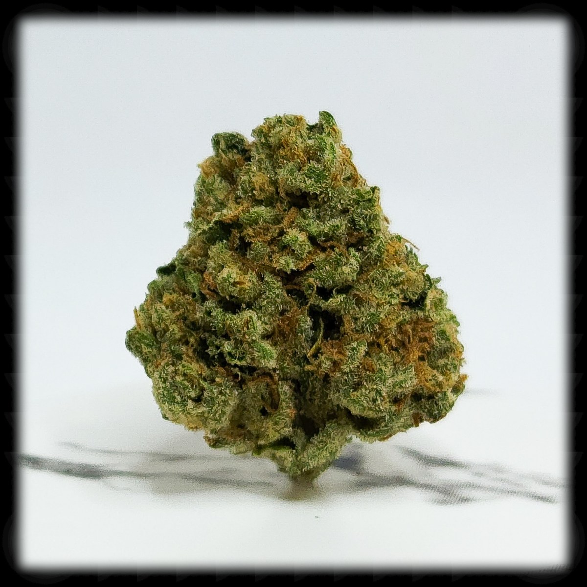 Silver Kush, and the Joy of&nbsp;Oxymorons