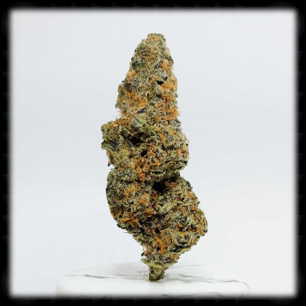 Orange Starburst, Breaking a Personal Rule, and a Very Brief&nbsp;Update