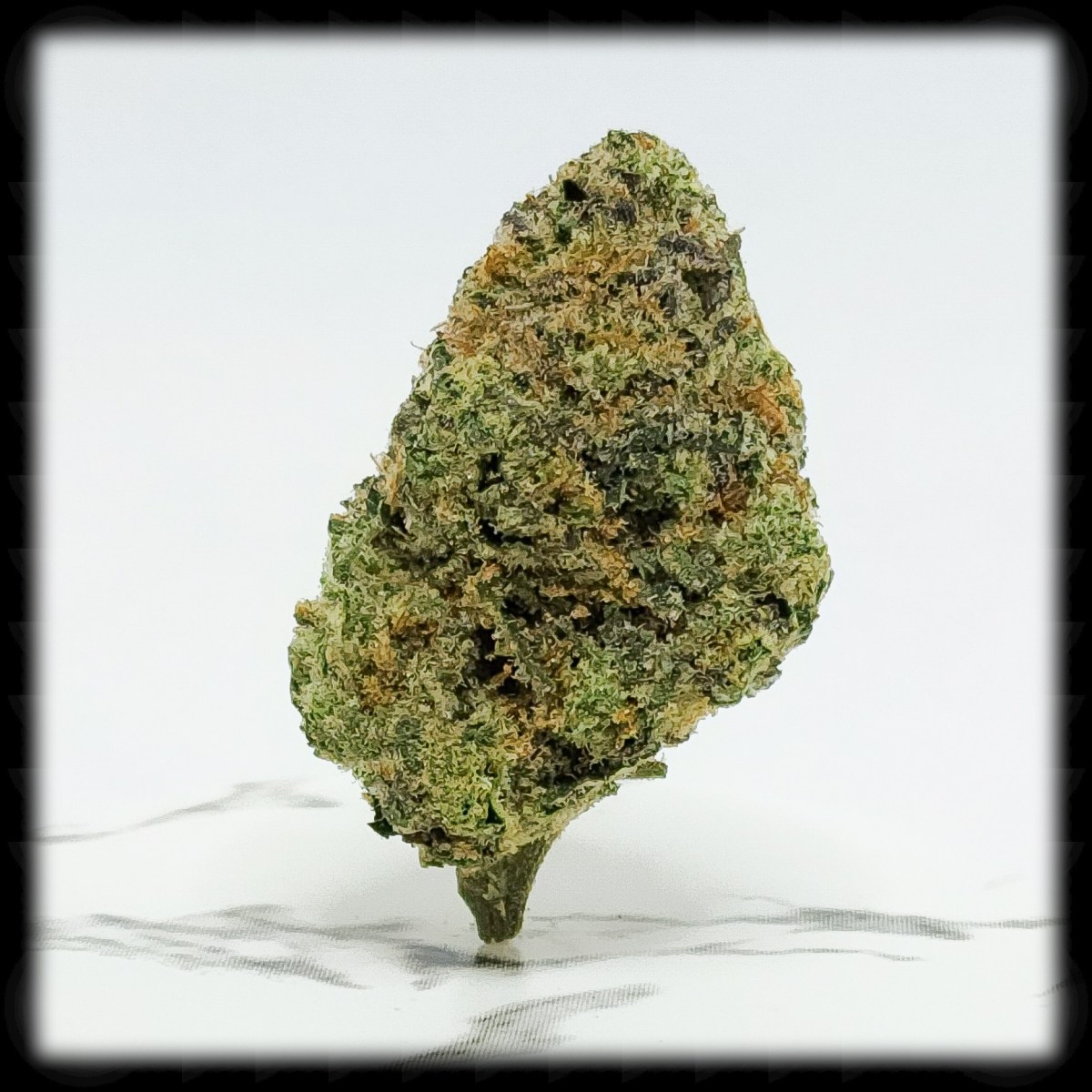 Ursula, and Having Fun with&nbsp;Reviews