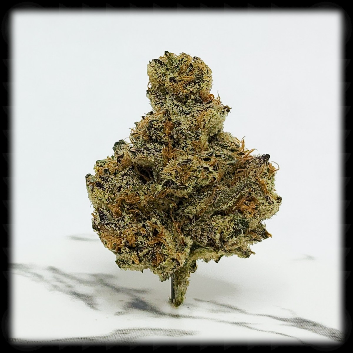 Blue Lime Pie, Who Wants to Get Really&nbsp;Stoned?