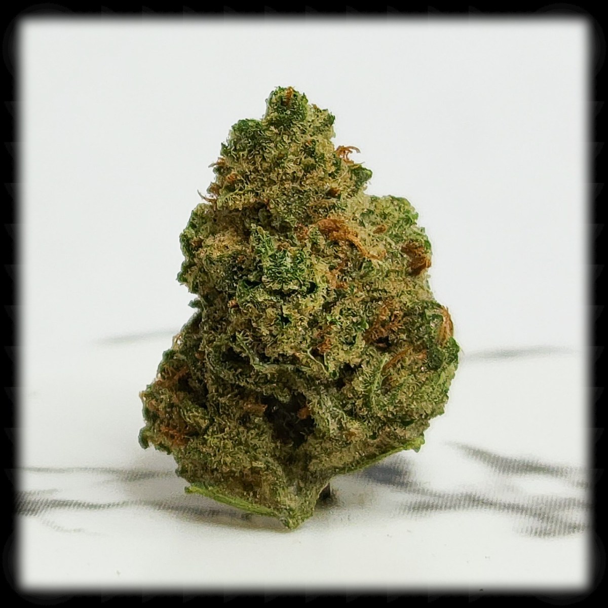 Northern Lights, Another Classic from Divine&nbsp;Buds