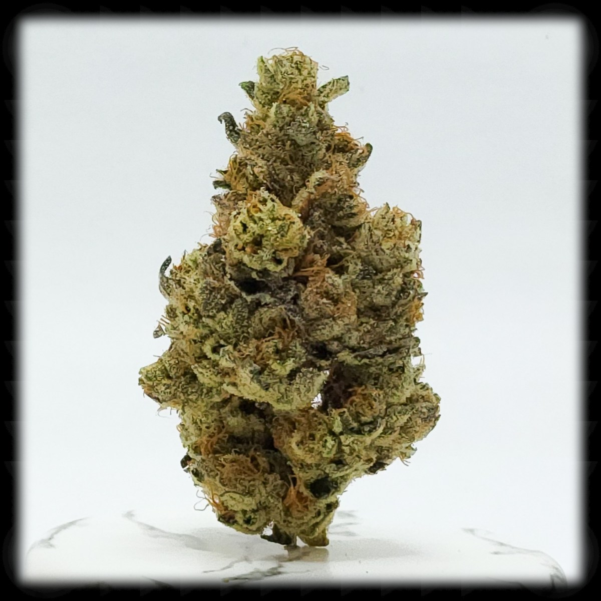 Pink Marshmallow, and the Comfort of the&nbsp;Familiar