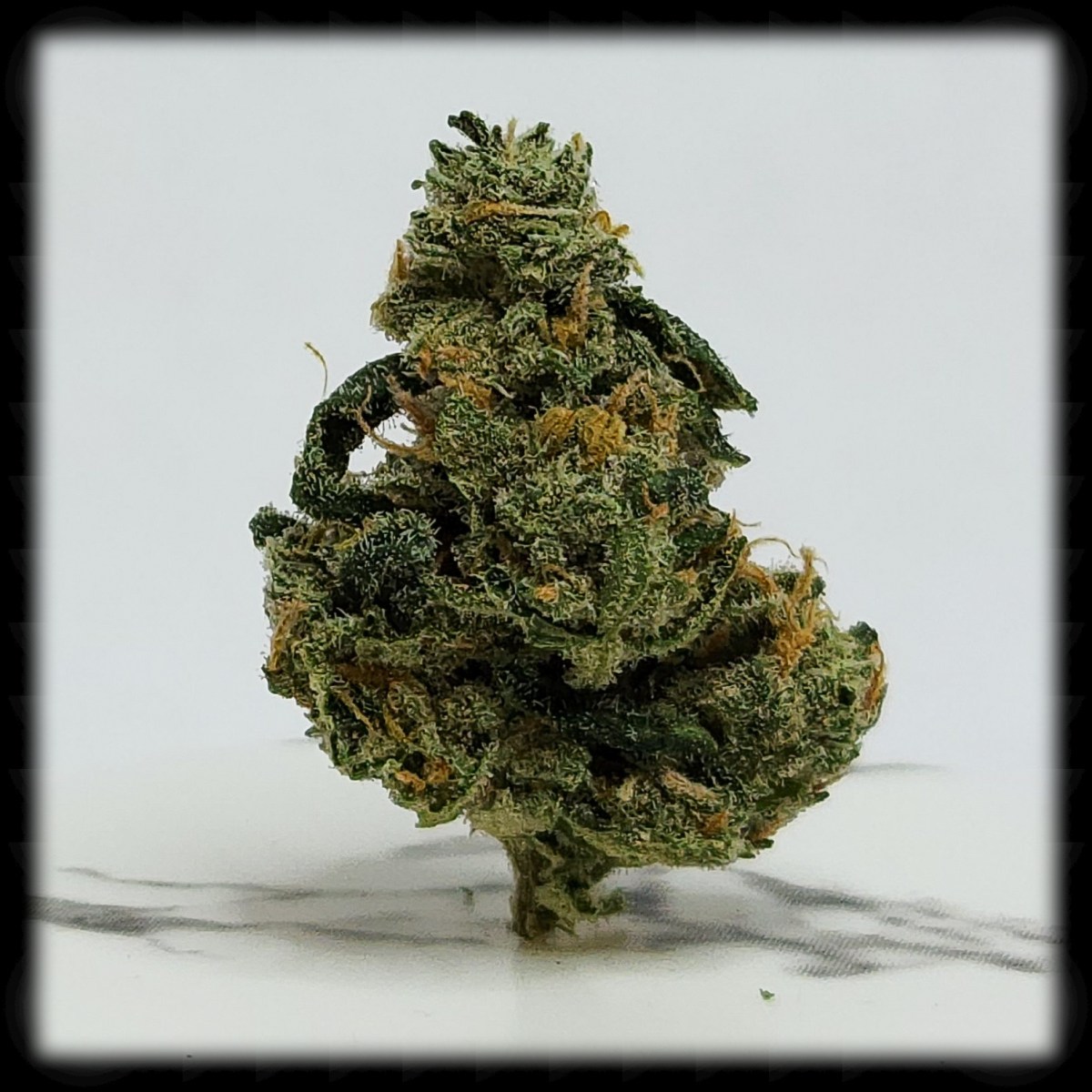 Bread and Butter, Happy Belated Holidays, and Why I Took 3 Weeks&nbsp;Off