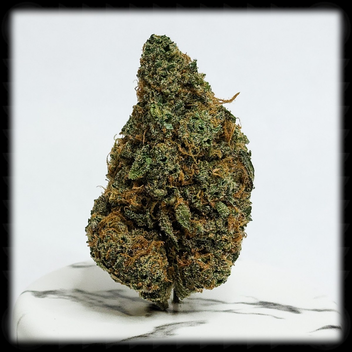 Lemon Meringue, An Excellent Daytime&nbsp;High