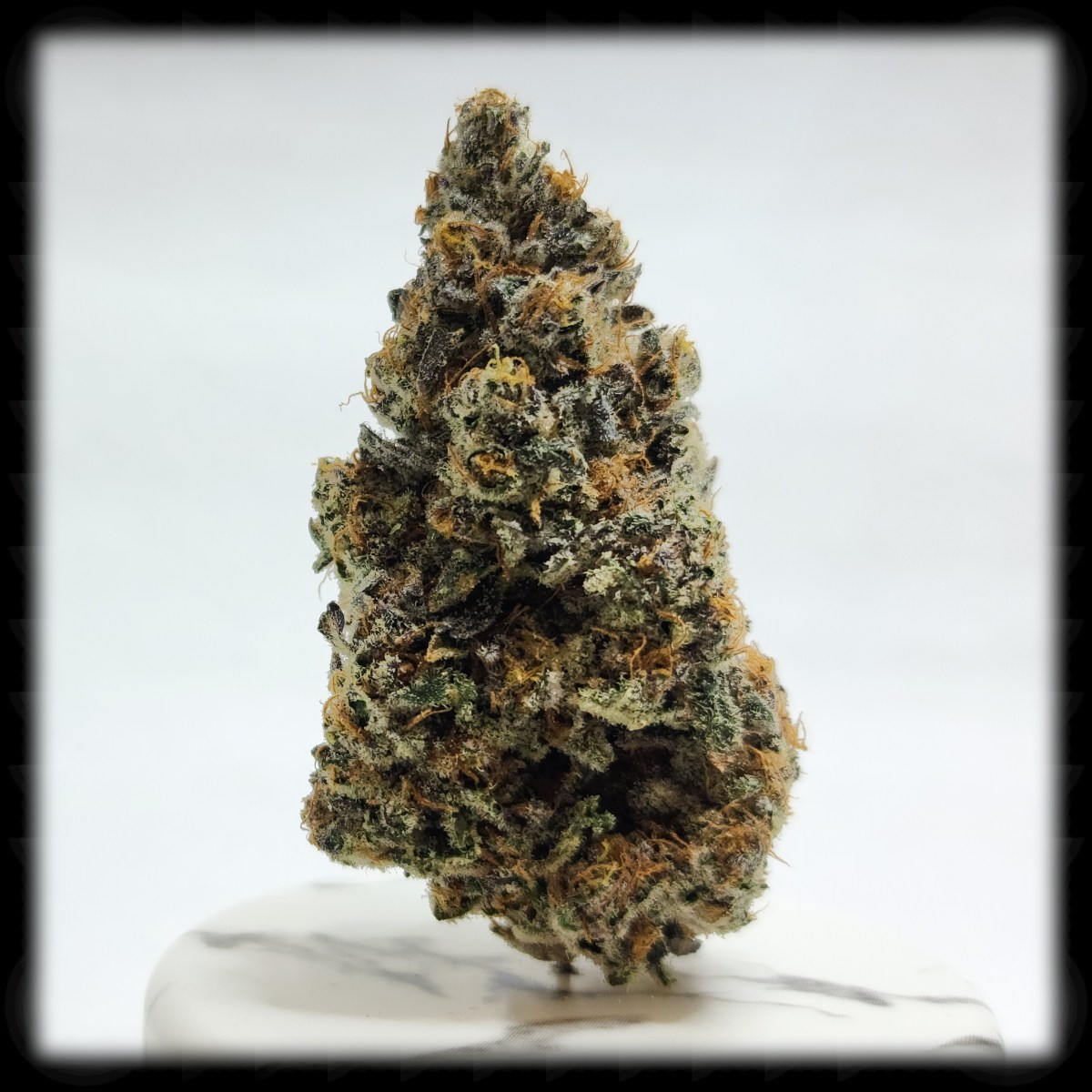 Sub Zero, Because Baby it’s Cold&nbsp;Outside